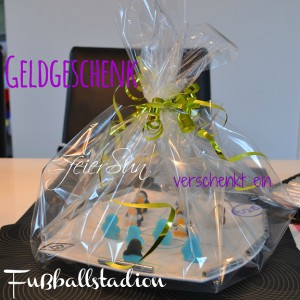 geschenktes Stadion 00 Titelbild