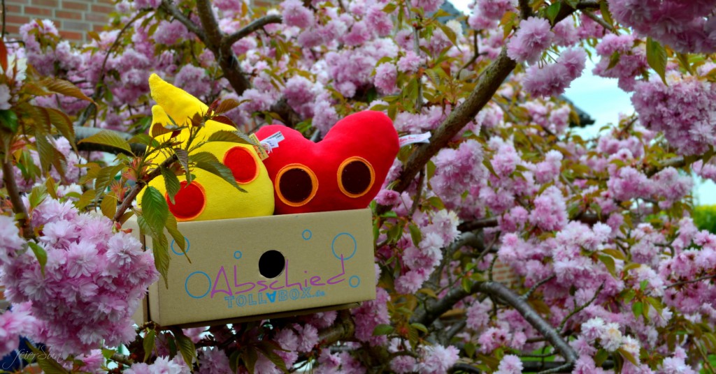 Unser Abschied - Tollabox