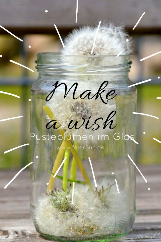 Pusteblumen gefüllt in ein Glas. 