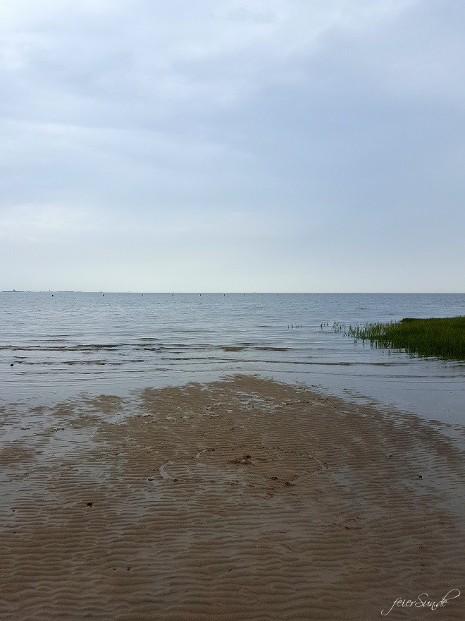 mein Wattenmeer cuxhaven unser Ausflug in das Besucherzentrum das Unesco Weltnaturerbe vor dem Eingang - das Gebäude was lebte hier - nicht nur Tiere aus dem Watt - da war das Wasser wieder