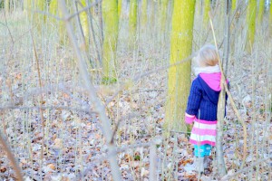 Baumentdecker-Sets von visualvest zu gewinnen -verlost Baumentdecker-Sets fuer-mehr-nachhaltigkeit_motte-im-wald