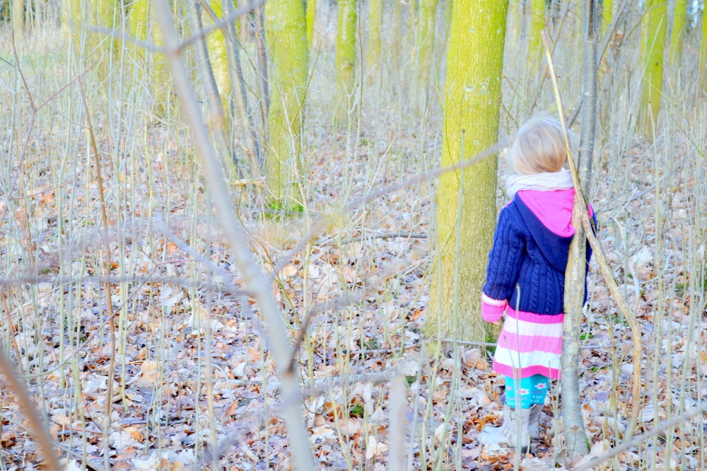 Baumentdecker-Sets von visualvest zu gewinnen -verlost Baumentdecker-Sets fuer-mehr-nachhaltigkeit_motte-im-wald