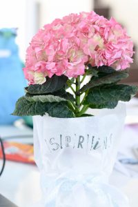 Hello-Spring_ein-Fruehlingsgruß-zum-verschenken-1565