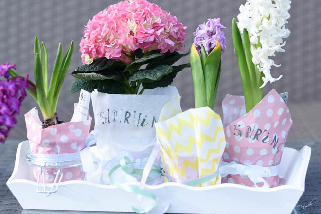 Hello-Spring_ein-Fruehlingsgruß-zum-verschenken-1612