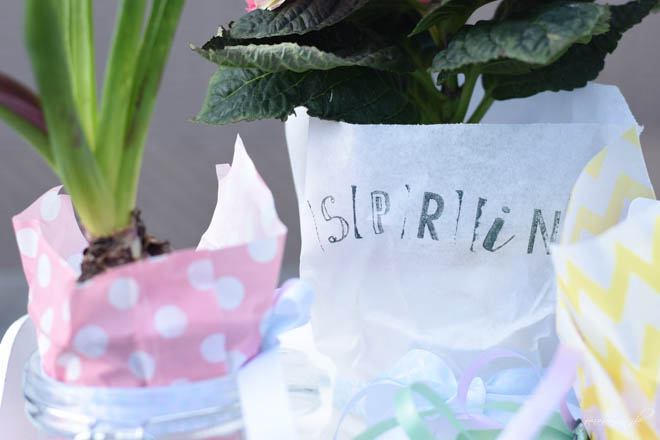 Hello-Spring_ein-Fruehlingsgruß-zum-verschenken-1615