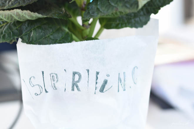 Hello-Spring_ein-Fruehlingsgruß-zum-verschenken_Mitbringsel
