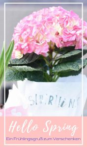 Hello Spring, bitte bleib doch jetzt. Und damit wir den Frühling auch verschenken könne, basteln wir uns einen wunderbaren Frühlingsgruß. #DiY #Frühling #Spring