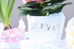 TITEL_Hello-Spring_ein-Fruehlingsgruß-zum-verschenken_denn-den-Fruhling-brauchen-wir-alle