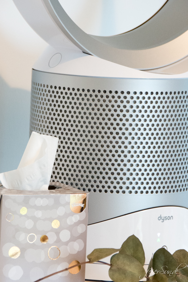Durchatmen auch in der Pollenzeit. Denn wenn die Pollen fliegen und das Atmen schwer wird, dann brauchen wir einen Luftreiniger. Den #Dyson Pure Cool™ Link Desk habe ich getestet. #dysonluftreiniger #dysonatmetanders 