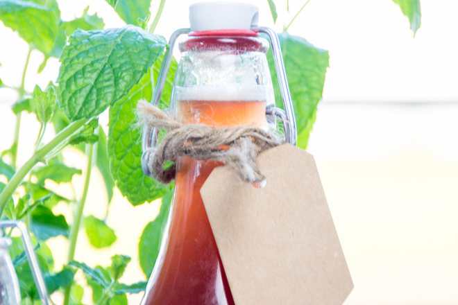 Ein fruchtig-süß-herber Drink in der Hand und schon fühlt es sich nach Sommer an. Rhabarber-Schorle scheint das Sommer-Getränk des Jahres zu sein, aber wir machen den Rhabarbersirup lieber selber. Mein Rezept für schnellen & einfachen Rhabarbersirup.