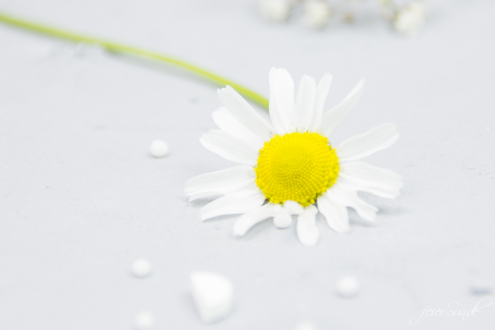 feierSun.de Ι Gesundheit ist unser Höchstes Gut und wenn die Schulmedizin durch die Naturmedizin unterstützt wird, haben wir Ganzheitliche Medizin. Meine Meinung und meine Erfahrungen mit genau dieser Mischung und was ich darüber denke. feierSun.de Ι Familienleben - Lifestyle - Herz