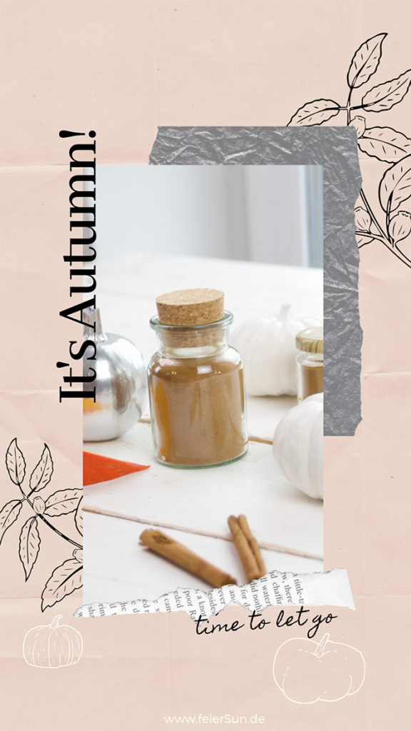 Pumpkin Spice Gewürz selber machen - der amerikanischen Herbsklassiker muss nicht gekauft werden. Das geht ruckzuck und wenn du auf der Suche nach dem perfekten Pumpkin Spice bist, hab ich das Rezept für dich

#PumpkinSpice #KürbisGewürz #feierSun #feierSunFood
